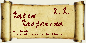 Kalin Kosjerina vizit kartica